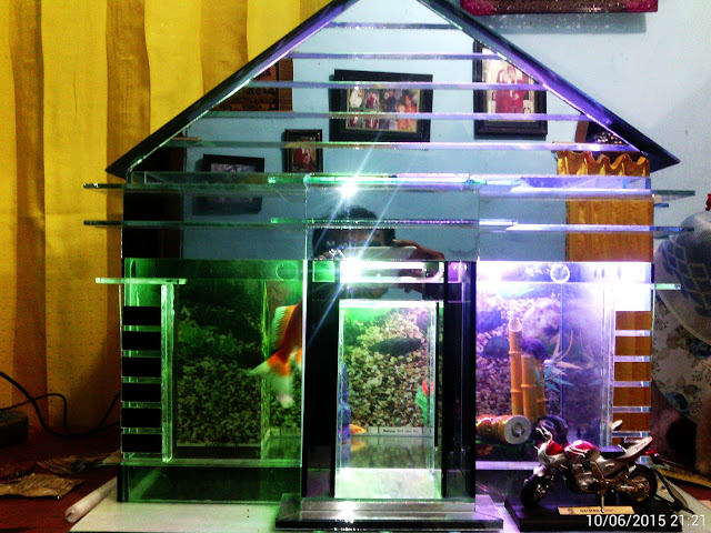 Contoh Aquarium Model Rumah Minimalis, Inspirasi Aquarium Model Rumah Minimalis, Contoh Inspirasi Aquarium Model Rumah Minimalis, Contoh Ide Aquarium Model Rumah Minimalis, Ide Aquarium Model Rumah Minimalis, Bentuk Aquarium Model Rumah Minimalis, Referensi Aquarium Model Rumah Minimalis