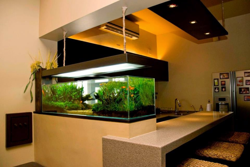 Contoh Aquarium Model Rumah Minimalis, Inspirasi Aquarium Model Rumah Minimalis, Contoh Inspirasi Aquarium Model Rumah Minimalis, Contoh Ide Aquarium Model Rumah Minimalis, Ide Aquarium Model Rumah Minimalis, Bentuk Aquarium Model Rumah Minimalis, Referensi Aquarium Model Rumah Minimalis