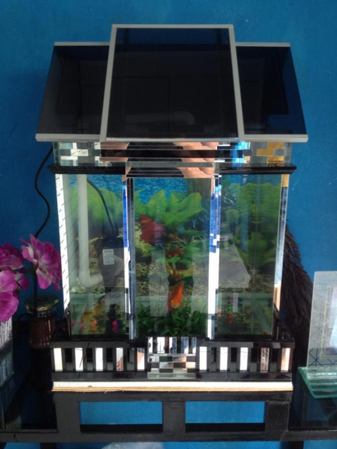 Contoh Aquarium Model Rumah Minimalis, Inspirasi Aquarium Model Rumah Minimalis, Contoh Inspirasi Aquarium Model Rumah Minimalis, Contoh Ide Aquarium Model Rumah Minimalis, Ide Aquarium Model Rumah Minimalis, Bentuk Aquarium Model Rumah Minimalis, Referensi Aquarium Model Rumah Minimalis