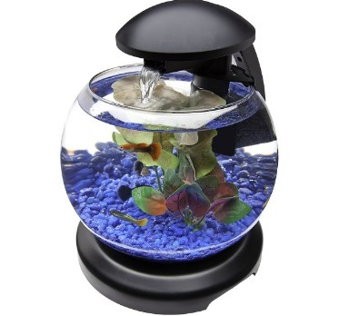 Contoh Aquarium Model Rumah Minimalis, Inspirasi Aquarium Model Rumah Minimalis, Contoh Inspirasi Aquarium Model Rumah Minimalis, Contoh Ide Aquarium Model Rumah Minimalis, Ide Aquarium Model Rumah Minimalis, Bentuk Aquarium Model Rumah Minimalis, Referensi Aquarium Model Rumah Minimalis