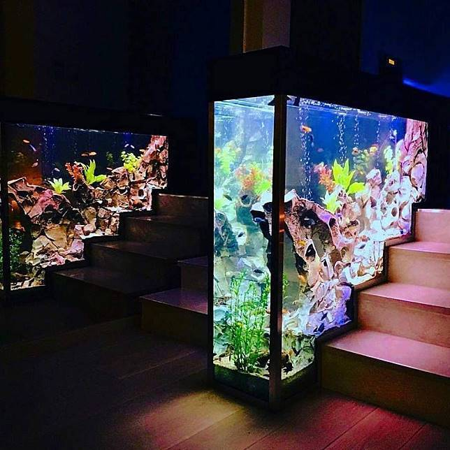 Contoh Aquarium Model Rumah Minimalis, Inspirasi Aquarium Model Rumah Minimalis, Contoh Inspirasi Aquarium Model Rumah Minimalis, Contoh Ide Aquarium Model Rumah Minimalis, Ide Aquarium Model Rumah Minimalis, Bentuk Aquarium Model Rumah Minimalis, Referensi Aquarium Model Rumah Minimalis