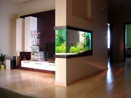 Contoh Aquarium Model Rumah, Inspirasi Aquarium Model Rumah, Contoh Inspirasi Aquarium Model Rumah, Contoh Ide Aquarium Model Rumah, Ide Aquarium Model Rumah, Bentuk Aquarium Model Rumah, Referensi Aquarium Model Rumah