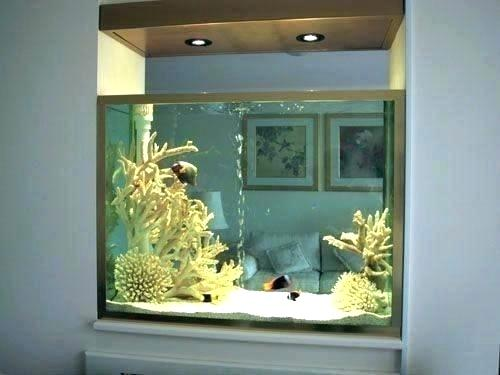 Contoh Aquarium Model Rumah, Inspirasi Aquarium Model Rumah, Contoh Inspirasi Aquarium Model Rumah, Contoh Ide Aquarium Model Rumah, Ide Aquarium Model Rumah, Bentuk Aquarium Model Rumah, Referensi Aquarium Model Rumah