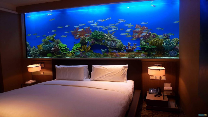 Contoh Aquarium Model Rumah, Inspirasi Aquarium Model Rumah, Contoh Inspirasi Aquarium Model Rumah, Contoh Ide Aquarium Model Rumah, Ide Aquarium Model Rumah, Bentuk Aquarium Model Rumah, Referensi Aquarium Model Rumah