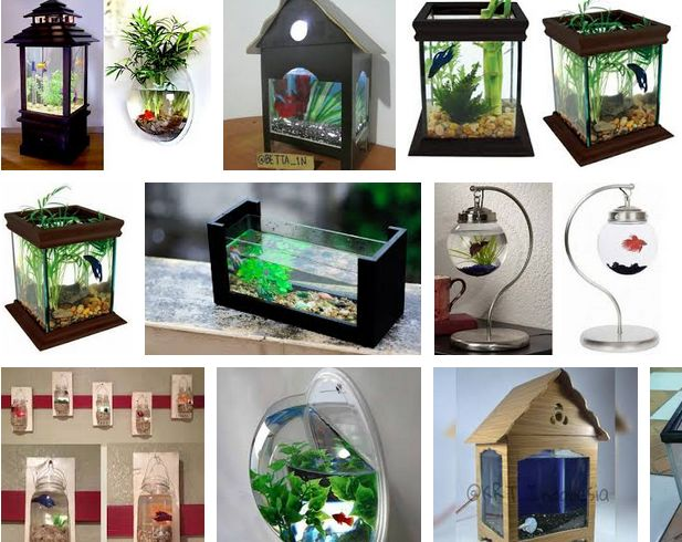 Contoh Aquarium Model Rumah, Inspirasi Aquarium Model Rumah, Contoh Inspirasi Aquarium Model Rumah, Contoh Ide Aquarium Model Rumah, Ide Aquarium Model Rumah, Bentuk Aquarium Model Rumah, Referensi Aquarium Model Rumah