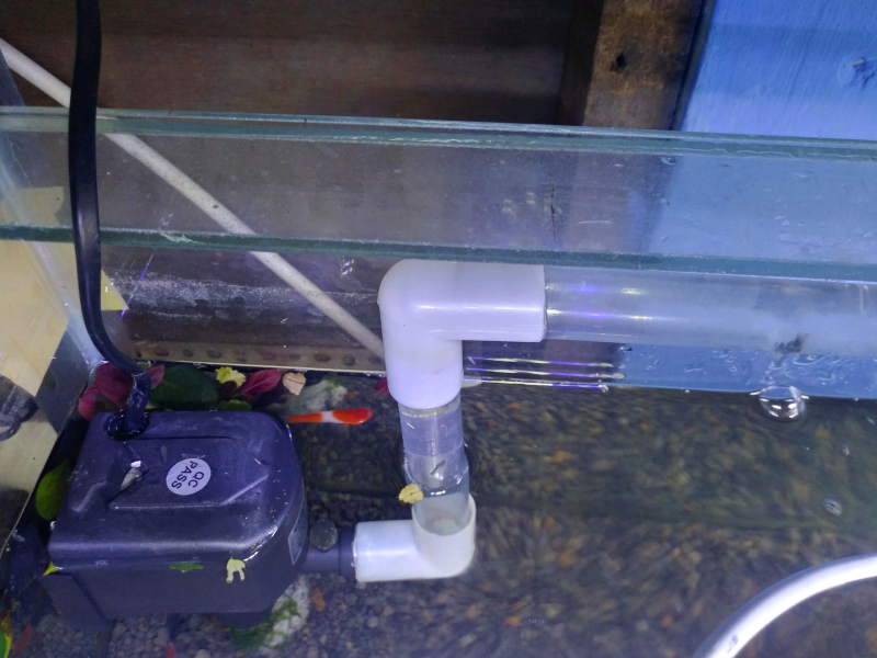 Pengaturan Pipa Sebagai Intalasi Pada Aquarium Minimalis
