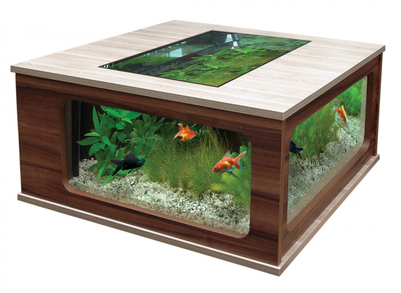 Contoh Aquarium Minimalis, Inspirasi Aquarium Minimalis, Contoh Inspirasi Aquarium Minimalis, Contoh Ide Aquarium Minimalis, Ide Aquarium Minimalis, Bentuk Aquarium Minimalis, Referensi Aquarium Minimalis