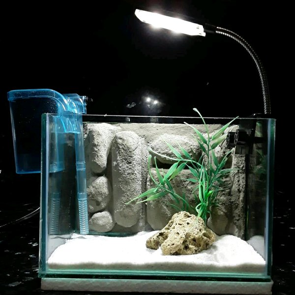 Contoh Aquarium Minimalis, Inspirasi Aquarium Minimalis, Contoh Inspirasi Aquarium Minimalis, Contoh Ide Aquarium Minimalis, Ide Aquarium Minimalis, Bentuk Aquarium Minimalis, Referensi Aquarium Minimalis