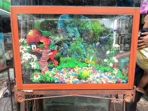 Contoh Aquarium Air Tawar, Inspirasi Aquarium Air Tawar, Contoh Inspirasi Aquarium Air Tawar, Contoh Ide Aquarium Air Tawar, Ide Aquarium Air Tawar, Bentuk Aquarium Air Tawar, Referensi Aquarium Air Tawar