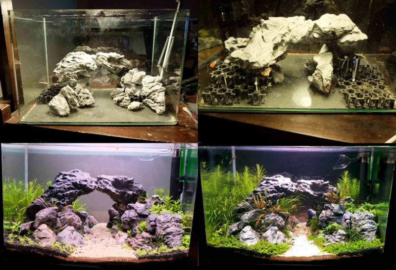 Proses Pemupukan Aquarium Air Tawar Jika Didesain Aquascape