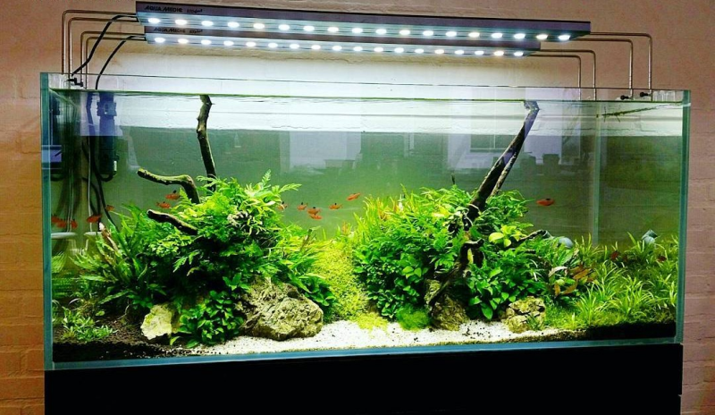 Melakukan Pemasangan Pencahayaan Pada Bawah Tutup Aquarium