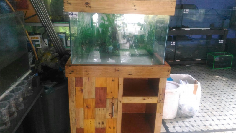 Contoh Tutup Aquarium Minimalis, Inspirasi Tutup Aquarium Minimalis, Contoh Inspirasi Tutup Aquarium Minimalis, Contoh Ide Tutup Aquarium Minimalis, Ide Tutup Aquarium Minimalis, Bentuk Tutup Aquarium Minimalis, Referensi Tutup Aquarium Minimalis