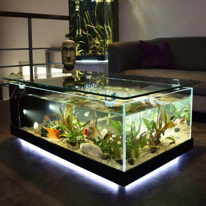 Contoh Tutup Aquarium Minimalis, Inspirasi Tutup Aquarium Minimalis, Contoh Inspirasi Tutup Aquarium Minimalis, Contoh Ide Tutup Aquarium Minimalis, Ide Tutup Aquarium Minimalis, Bentuk Tutup Aquarium Minimalis, Referensi Tutup Aquarium Minimalis