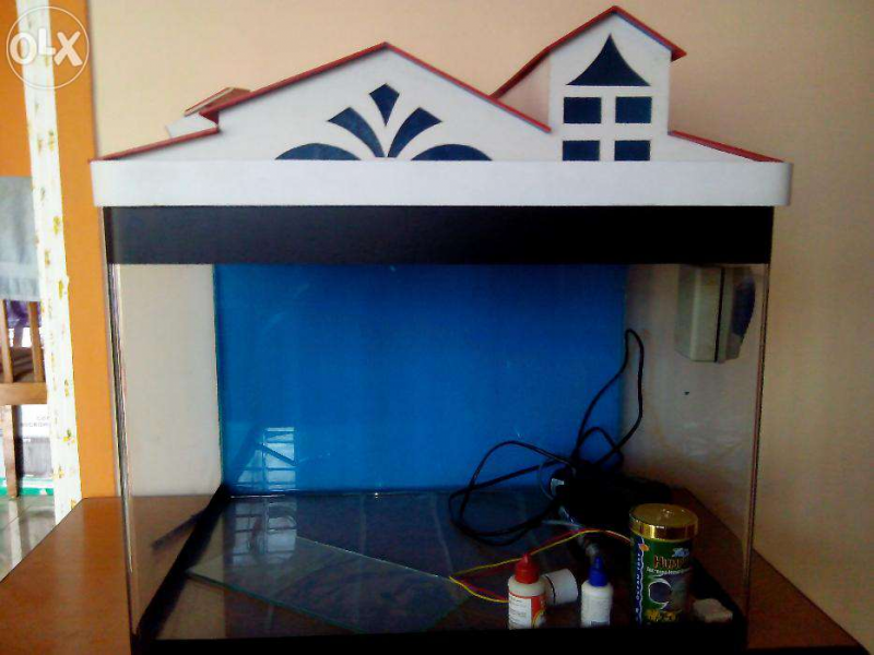 Contoh Tutup Aquarium Minimalis, Inspirasi Tutup Aquarium Minimalis, Contoh Inspirasi Tutup Aquarium Minimalis, Contoh Ide Tutup Aquarium Minimalis, Ide Tutup Aquarium Minimalis, Bentuk Tutup Aquarium Minimalis, Referensi Tutup Aquarium Minimalis