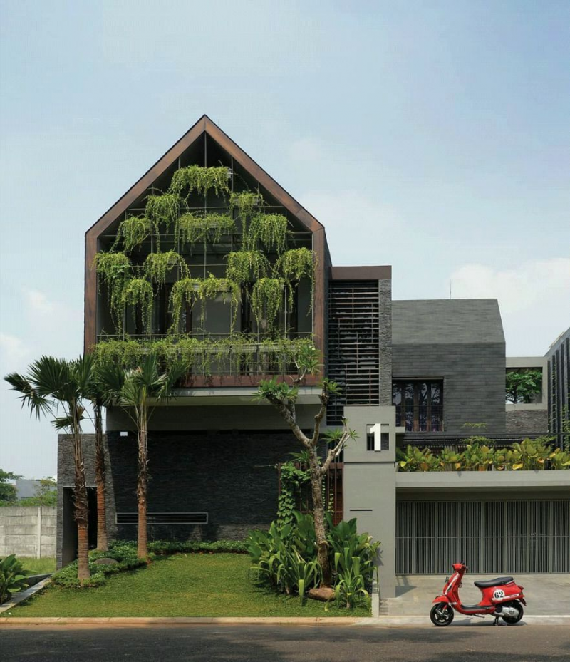 Desain Interior Desain Rumah Tanaman