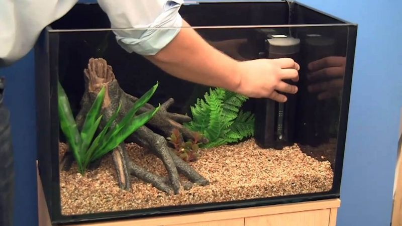 Proses Pemberian Pupuk Dalam Aquarium