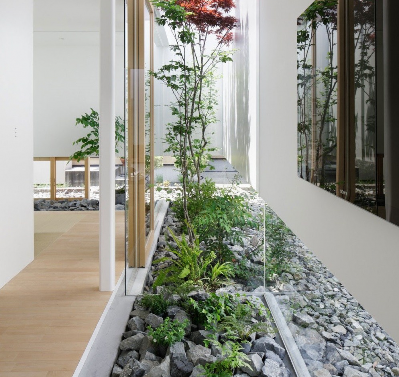 Desain rumah 10 x 10 m Penambahan taman kering dibelakang rumah