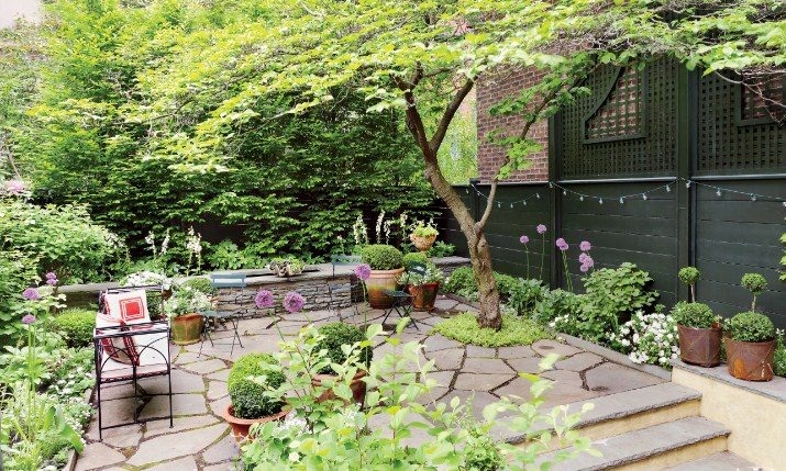 Desain Rumah Kebun Baru