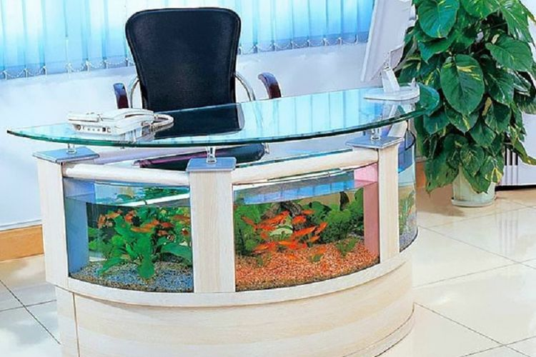 Contoh Desain Meja Aquarium Contoh Desain Meja Aquarium