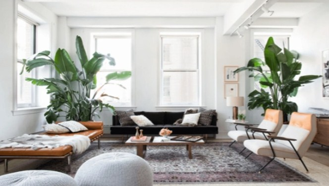 Ide Desain Rumah Mewah 1 Lantai