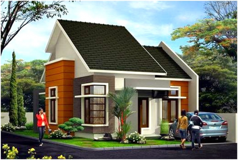 Desain Rumah Mewah 1 Lantai Gambar