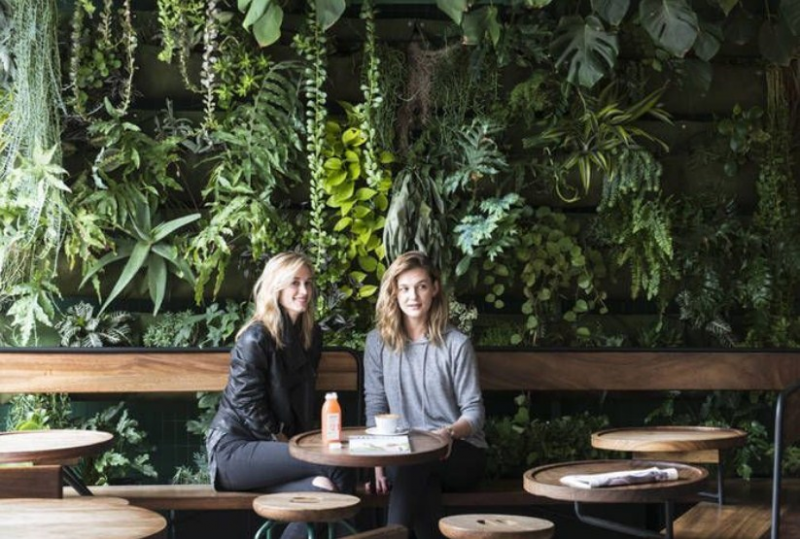 Cafe dengan nuansa alami