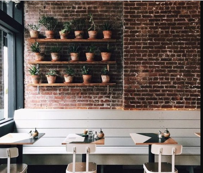 Dekorasi Dinding Dengan Tanaman