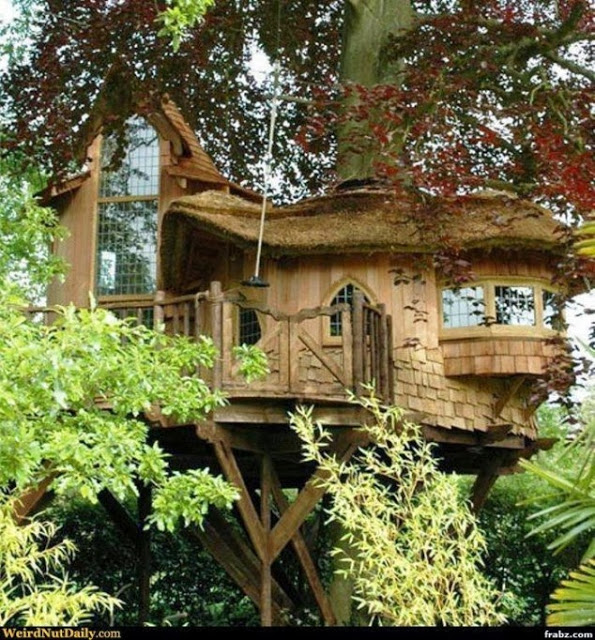 Arsitek Desain Rumah Pohon