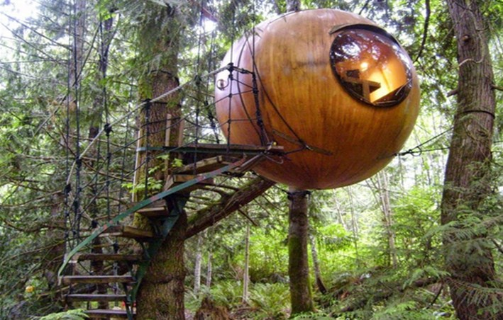 Desain Rumah Pohon Bundar
