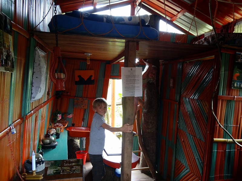 Desain Rumah Pohon Contoh
