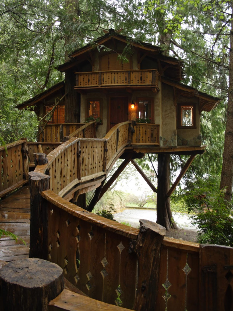 Desain Rumah Pohon Foto