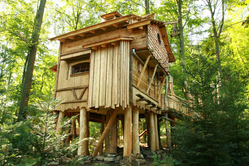 Desain Rumah Pohon Keren