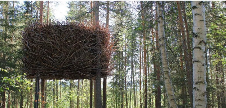 Desain Rumah Pohon Sangkar Burung