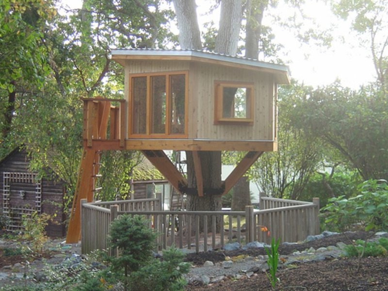Desain Rumah Pohon Terbaik