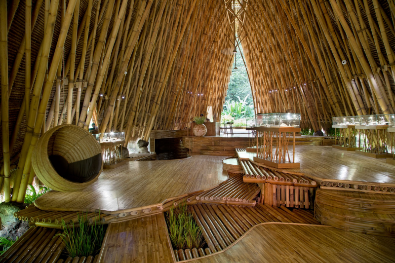 Desain Rumah Pohon Terkini