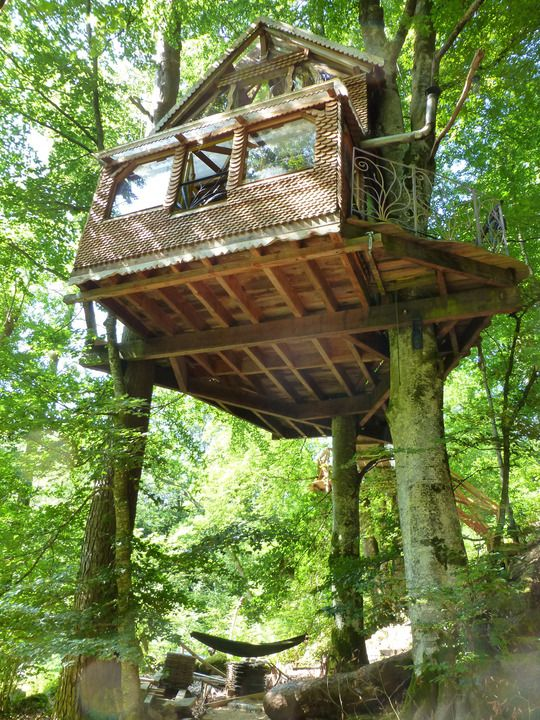 Ide Desain Rumah Pohon