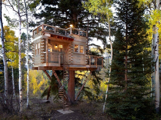 Inspirasi Desain Rumah Pohon