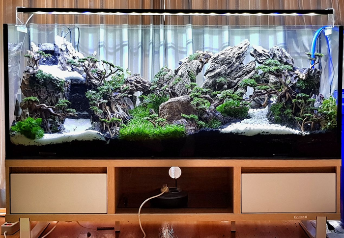 Contoh Desain Aquarium Arwana, Inspirasi Desain Aquarium Arwana, Contoh Inspirasi Desain Aquarium Arwana, Contoh Ide Desain Aquarium Arwana, Ide Desain Aquarium Arwana, Bentuk Desain Aquarium Arwana, Referensi Desain Aquarium Arwana Contoh Desain Aquarium Arwana, Inspirasi Desain Aquarium Arwana, Contoh Inspirasi Desain Aquarium Arwana, Contoh Ide Desain Aquarium Arwana, Ide Desain Aquarium Arwana, Bentuk Desain Aquarium Arwana, Referensi Desain Aquarium Arwana