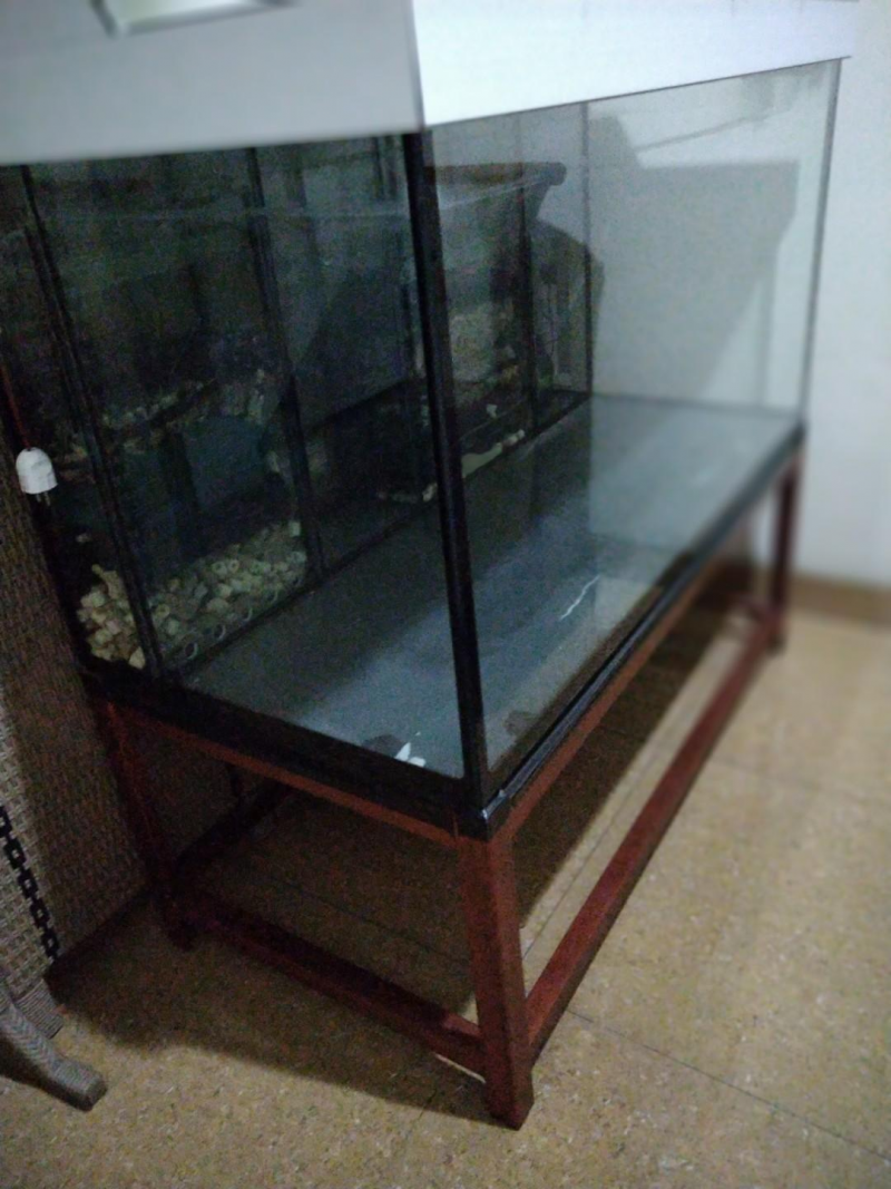 Contoh Desain Aquarium Arwana, Inspirasi Desain Aquarium Arwana, Contoh Inspirasi Desain Aquarium Arwana, Contoh Ide Desain Aquarium Arwana, Ide Desain Aquarium Arwana, Bentuk Desain Aquarium Arwana, Referensi Desain Aquarium Arwana Contoh Desain Aquarium Arwana, Inspirasi Desain Aquarium Arwana, Contoh Inspirasi Desain Aquarium Arwana, Contoh Ide Desain Aquarium Arwana, Ide Desain Aquarium Arwana, Bentuk Desain Aquarium Arwana, Referensi Desain Aquarium Arwana