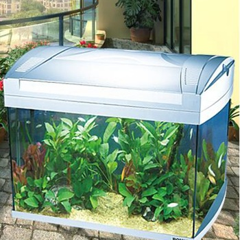 Contoh Desain Aquarium Arwana, Inspirasi Desain Aquarium Arwana, Contoh Inspirasi Desain Aquarium Arwana, Contoh Ide Desain Aquarium Arwana, Ide Desain Aquarium Arwana, Bentuk Desain Aquarium Arwana, Referensi Desain Aquarium Arwana Contoh Desain Aquarium Arwana, Inspirasi Desain Aquarium Arwana, Contoh Inspirasi Desain Aquarium Arwana, Contoh Ide Desain Aquarium Arwana, Ide Desain Aquarium Arwana, Bentuk Desain Aquarium Arwana, Referensi Desain Aquarium Arwana