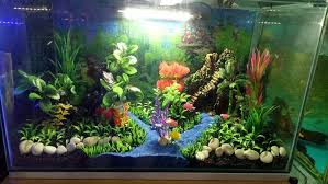 Contoh Desain Aquarium Arwana, Inspirasi Desain Aquarium Arwana, Contoh Inspirasi Desain Aquarium Arwana, Contoh Ide Desain Aquarium Arwana, Ide Desain Aquarium Arwana, Bentuk Desain Aquarium Arwana, Referensi Desain Aquarium Arwana Contoh Desain Aquarium Arwana, Inspirasi Desain Aquarium Arwana, Contoh Inspirasi Desain Aquarium Arwana, Contoh Ide Desain Aquarium Arwana, Ide Desain Aquarium Arwana, Bentuk Desain Aquarium Arwana, Referensi Desain Aquarium Arwana