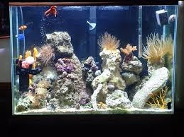 Contoh Lemari Aquarium Minimalis, Inspirasi Lemari Aquarium Minimalis, Contoh Inspirasi Lemari Aquarium Minimalis, Contoh Ide Lemari Aquarium Minimalis, Ide Lemari Aquarium Minimalis, Bentuk Lemari Aquarium Minimalis, Referensi Lemari Aquarium Minimalis