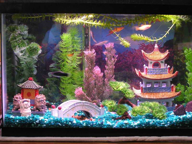 Contoh Lemari Aquarium Minimalis, Inspirasi Lemari Aquarium Minimalis, Contoh Inspirasi Lemari Aquarium Minimalis, Contoh Ide Lemari Aquarium Minimalis, Ide Lemari Aquarium Minimalis, Bentuk Lemari Aquarium Minimalis, Referensi Lemari Aquarium Minimalis
