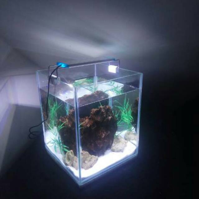 Contoh Lemari Aquarium Minimalis, Inspirasi Lemari Aquarium Minimalis, Contoh Inspirasi Lemari Aquarium Minimalis, Contoh Ide Lemari Aquarium Minimalis, Ide Lemari Aquarium Minimalis, Bentuk Lemari Aquarium Minimalis, Referensi Lemari Aquarium Minimalis