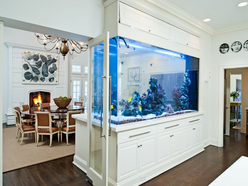 Contoh Lemari Aquarium Minimalis, Inspirasi Lemari Aquarium Minimalis, Contoh Inspirasi Lemari Aquarium Minimalis, Contoh Ide Lemari Aquarium Minimalis, Ide Lemari Aquarium Minimalis, Bentuk Lemari Aquarium Minimalis, Referensi Lemari Aquarium Minimalis