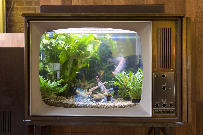 Contoh Lemari Aquarium Minimalis, Inspirasi Lemari Aquarium Minimalis, Contoh Inspirasi Lemari Aquarium Minimalis, Contoh Ide Lemari Aquarium Minimalis, Ide Lemari Aquarium Minimalis, Bentuk Lemari Aquarium Minimalis, Referensi Lemari Aquarium Minimalis