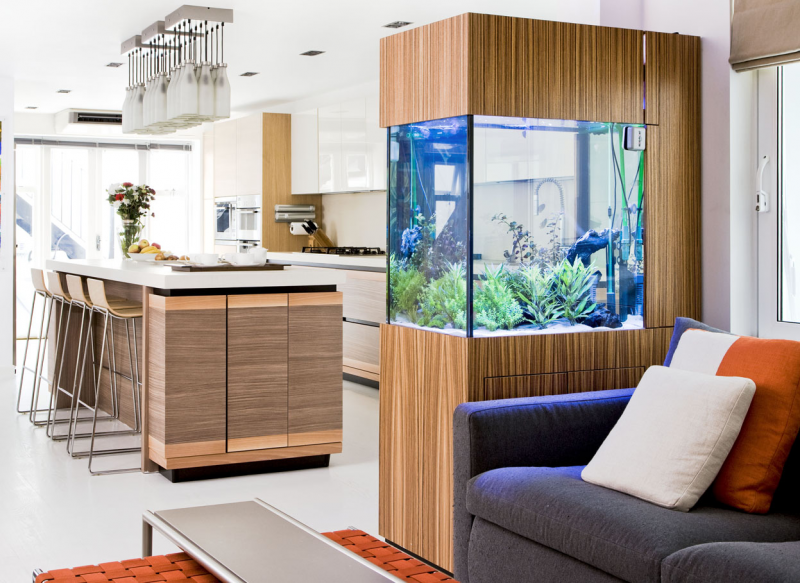 Contoh Lemari Aquarium Minimalis, Inspirasi Lemari Aquarium Minimalis, Contoh Inspirasi Lemari Aquarium Minimalis, Contoh Ide Lemari Aquarium Minimalis, Ide Lemari Aquarium Minimalis, Bentuk Lemari Aquarium Minimalis, Referensi Lemari Aquarium Minimalis