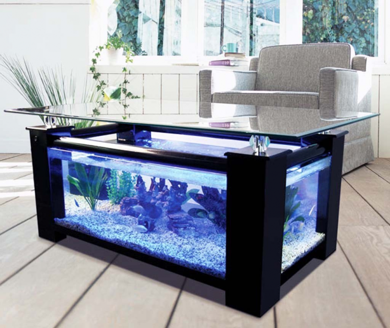 Contoh Lemari Aquarium Minimalis, Inspirasi Lemari Aquarium Minimalis, Contoh Inspirasi Lemari Aquarium Minimalis, Contoh Ide Lemari Aquarium Minimalis, Ide Lemari Aquarium Minimalis, Bentuk Lemari Aquarium Minimalis, Referensi Lemari Aquarium Minimalis