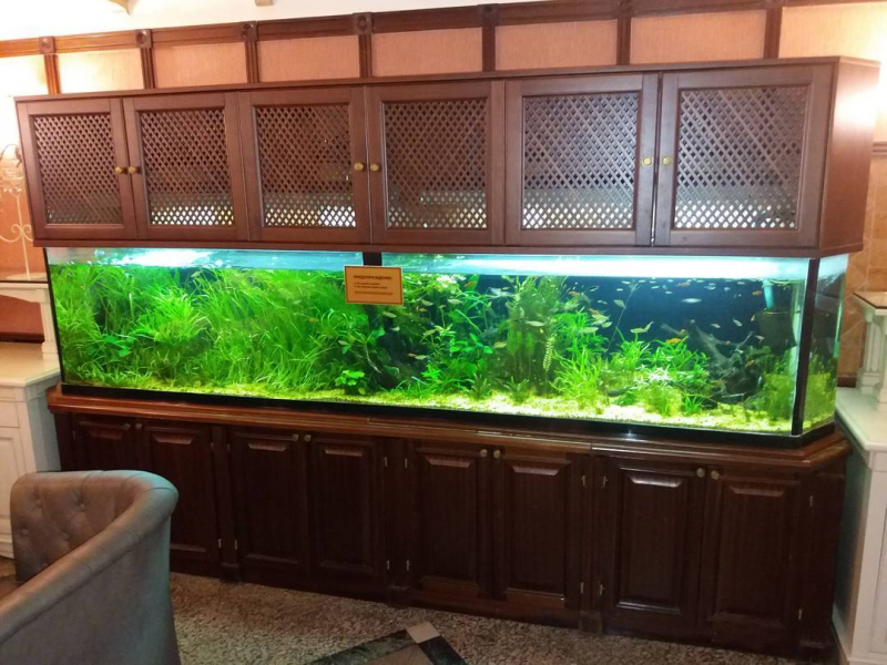 Contoh Lemari Aquarium Minimalis, Inspirasi Lemari Aquarium Minimalis, Contoh Inspirasi Lemari Aquarium Minimalis, Contoh Ide Lemari Aquarium Minimalis, Ide Lemari Aquarium Minimalis, Bentuk Lemari Aquarium Minimalis, Referensi Lemari Aquarium Minimalis
