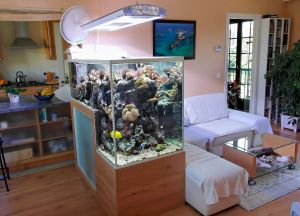 Menyediakan Alat dan Bahan Untuk Membuat Lemari Aquarium